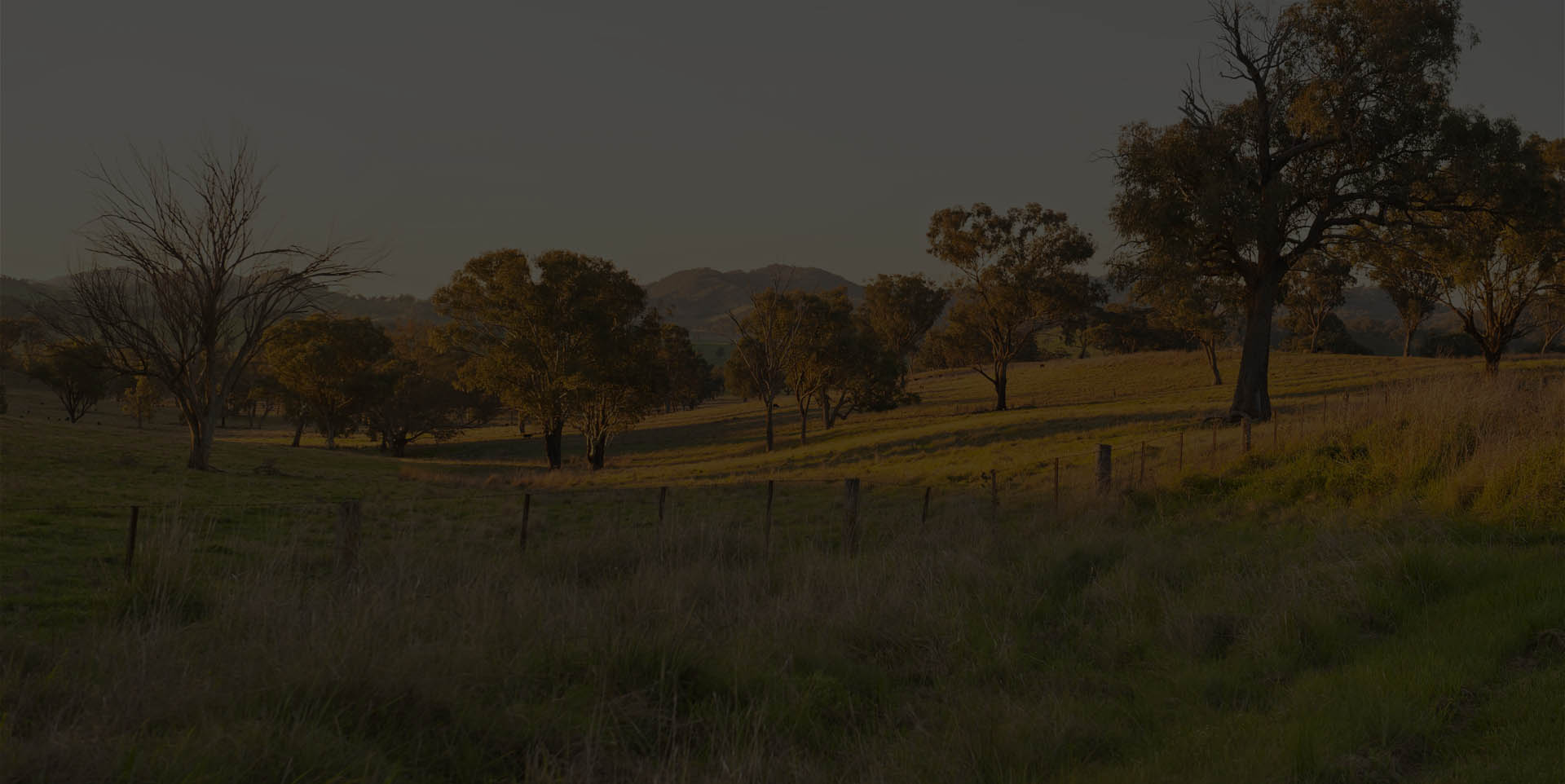 Nundle (Inland NSW Tourism)